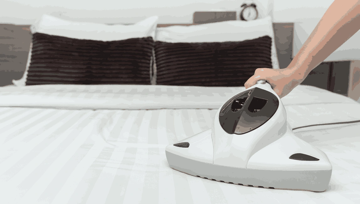 Professional Mattress Cleaning Sydenham
